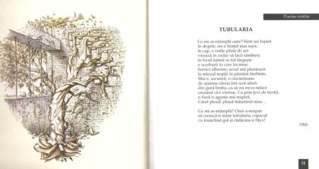 Ilustraţia volumui - Tudor Banuş
